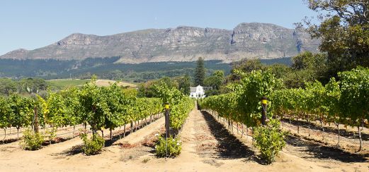 Wein Gehöft in der Nähe von Kapstadt