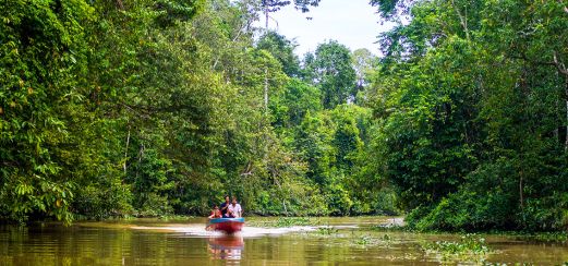 Auf dem Kinabatangan-Fluss