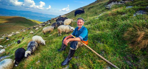 Hirte in den Bergen