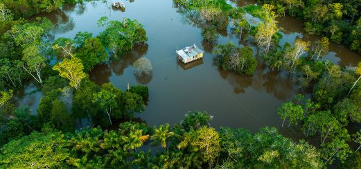 Hütten im Amazonas Regenwald