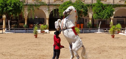 Königlich Andalusische Reitschule