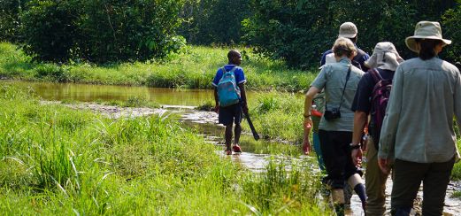 Wanderung durch den Regenwald