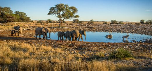 Wasserstelle im Etosha Nationalpark