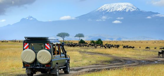 Afrika - Safari - Tansania