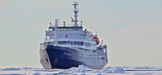 Spitzbergen-Expedition im Polarmeer