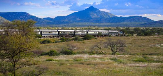 Ihr-Sonderzug-African-Explorer unterwgs in der Savanne Ihr-Sonderzug-African-Explorer unterwgs in der Savanne