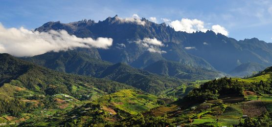 Borneo – Im grünen Herzen Asiens