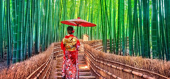 Geisha-in-a-Bamboo-Forest-in-Kyoto