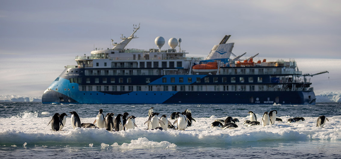 Das Schiff auf Ihrer Reise MS Ocean Albatros